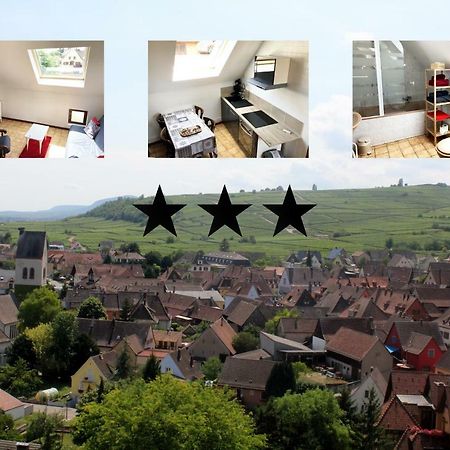 Gite Des 5 Cigognes Rouge Mittelwihr Eksteriør bilde