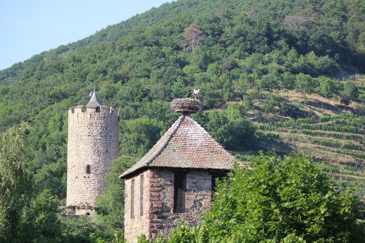 Gite Des 5 Cigognes Rouge Mittelwihr Eksteriør bilde